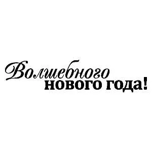 Штамп "Волшебного Нового года" (Скрапклуб) Штамп "Волшебного Нового года" (Скрапклуб)