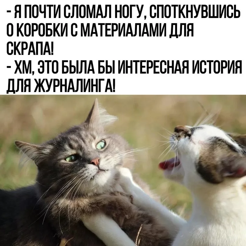 bFmvafi9LZE.jpg bFmvafi9LZE.jpg