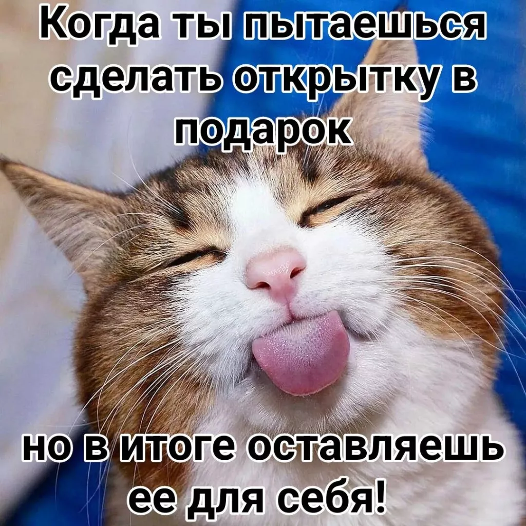 8AT1ytuU9hg.jpg 8AT1ytuU9hg.jpg