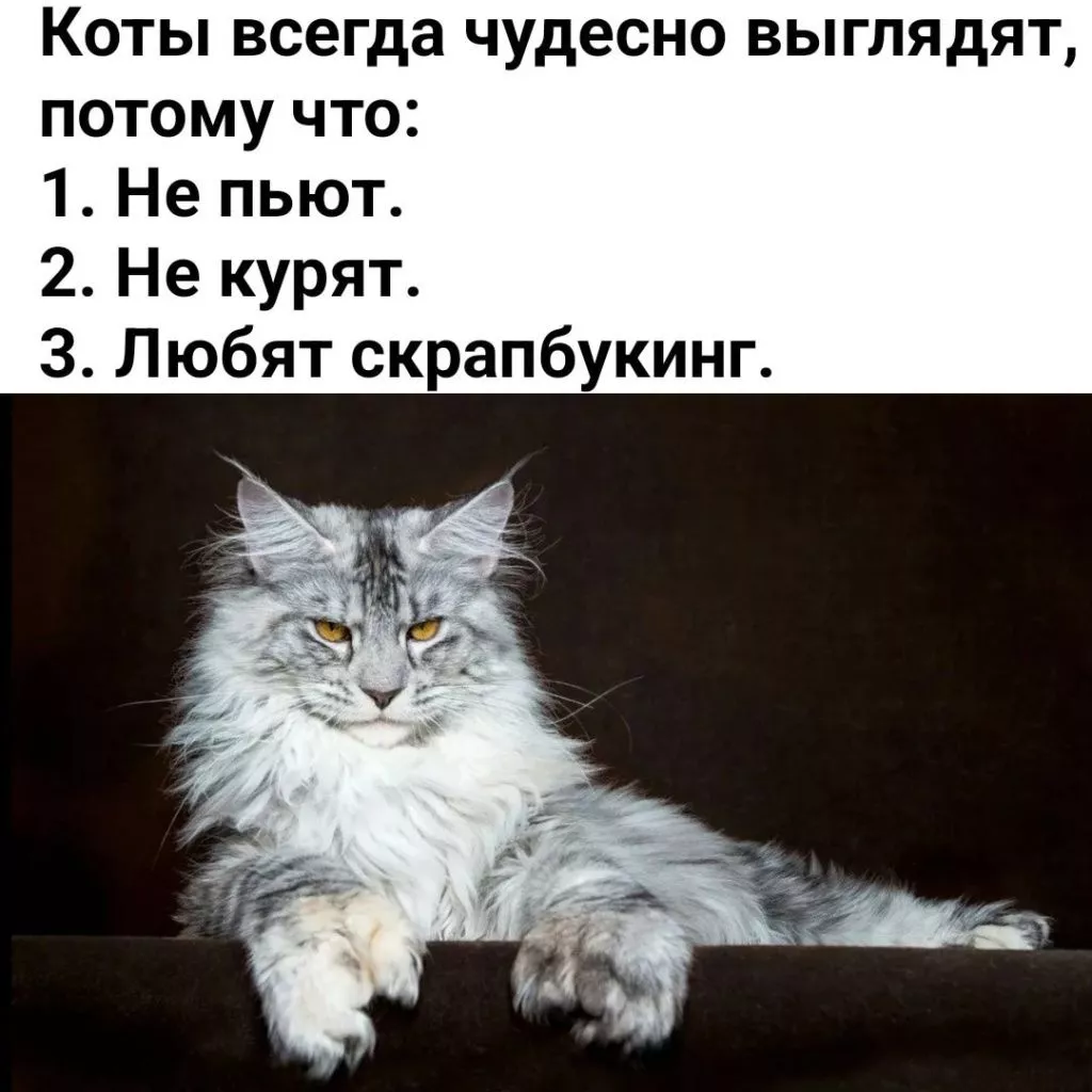 dD9lideAIT4.jpg dD9lideAIT4.jpg