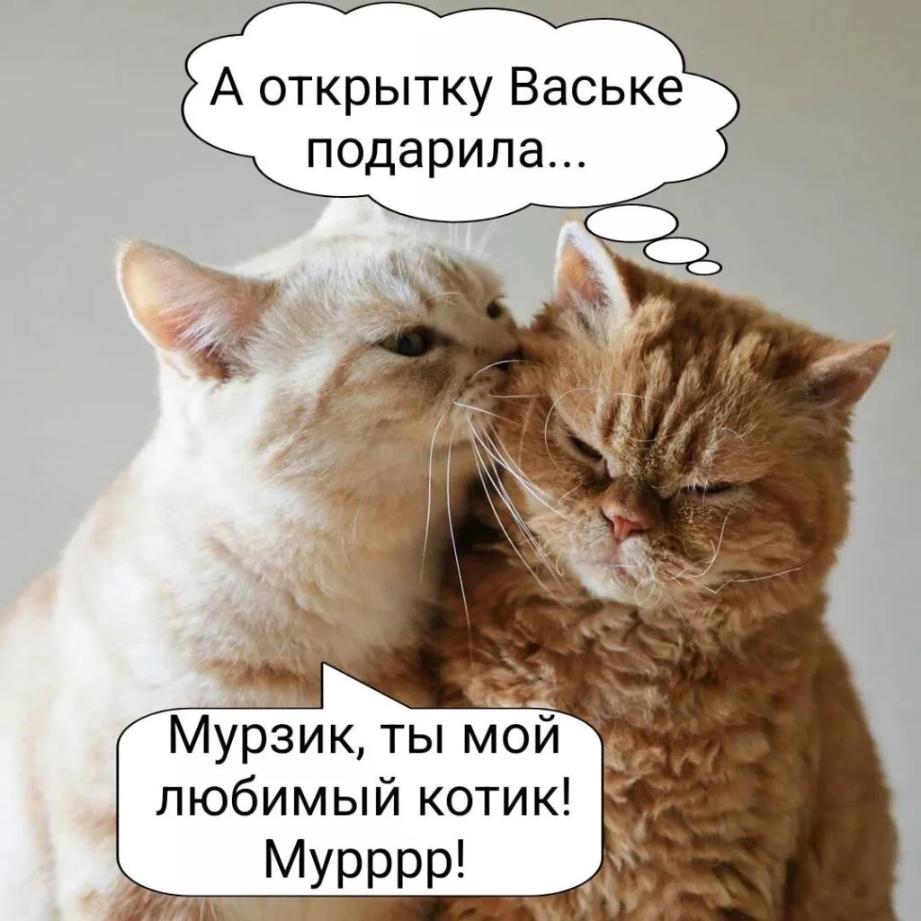 NWrM-ZUbVlk.jpg NWrM-ZUbVlk.jpg