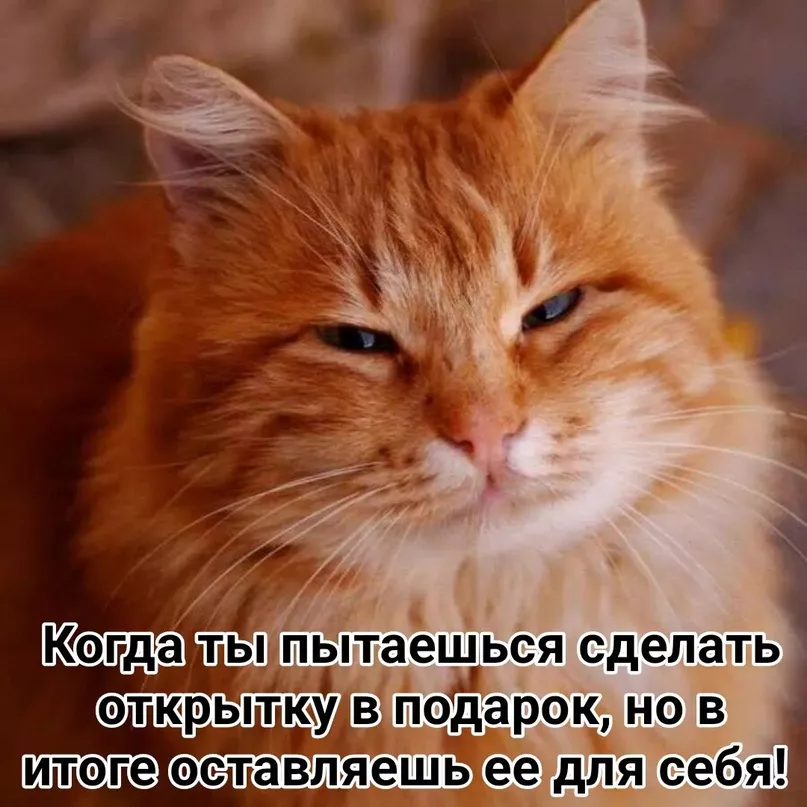 jQGIdLZmnsM.jpg jQGIdLZmnsM.jpg