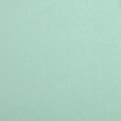 Кардсток "Мятная пастила" (Mr.P) Кардсток "Мятная пастила" (Mr.P)