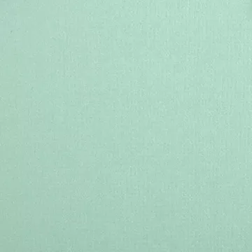 Кардсток "Мятная пастила" (Mr.P)