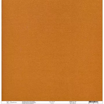 Кардсток текстурированный 30х30 см, ржавый (Рукоделие) Кардсток текстурированный 30х30 см, ржавый (Рукоделие)