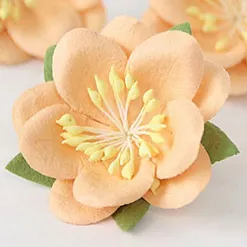 Цветок сакуры "Персиковый" (Craft)