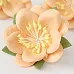Цветок сакуры "Персиковый" (Craft)