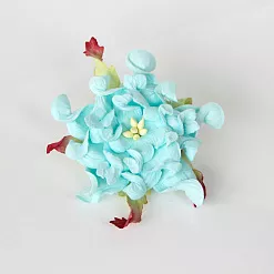 Гардения большая "Светло-бирюзовая", 6 см, 1 шт (Craft)