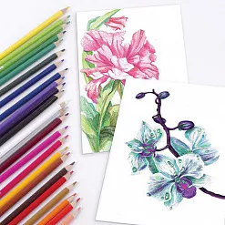 Набор акварельных карандашей "Академия", 24 цвета (Brauberg)