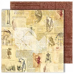 Бумага "Homo sapiens. Письмена" (DreamLight Studio)