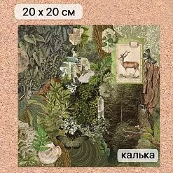 Калька 20х20 см "Заповедник 01", плотность 110 гр/м2 (ScrapMania)