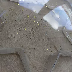 Пластиковая заготовка с глиттером "Звёздочка с золотом", 10 см (ScrapBerry's)