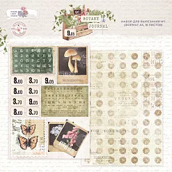 Бумага А5 "Botany journal. Карточки" (DreamLight Studio) Бумага А5 "Botany journal. Карточки" (DreamLight Studio)