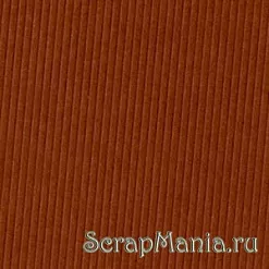 Кардсток Bazzill Basics 30,5х30,5 см однотонный с текстурой полосок, цвет коричневый