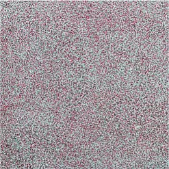 Пудра для эмбоссинга непрозрачная "Pistachio. Фисташка" (WOW)