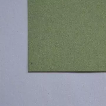 Бумага Гмунд колорс, цвет светлый хаки (Zebra creative)