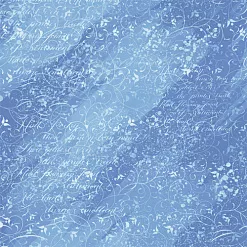 Бумага "Winter birds - 5" (SunnyCraft)