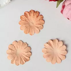 Набор цветов "Ромашка персиковая" (ScrapBerry's)