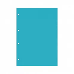 Набор пластиковых листов А4 "Прозрачные вертикальные. 4 отверстия", толщина 0,5 мм (CraftStory)