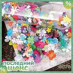 ШАНС Набор цветов Pillar Pack Mixed (PM) ШАНС Набор цветов Pillar Pack Mixed (PM)