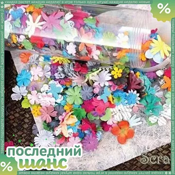 ШАНС Набор цветов Pillar Pack Mixed (PM)