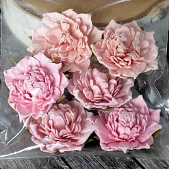 Набор цветов "Pink splash", 6 шт (Summer Studio)