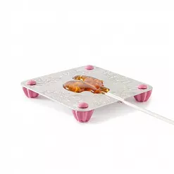 Форма для создания леденца "Петух" (Леденцовая фабрика)