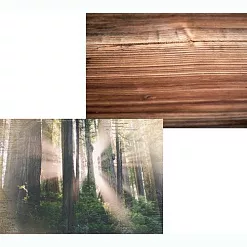 Набор бумаги А4 "Лес", 12 листов (Scrapodelie) Набор бумаги А4 "Лес", 12 листов (Scrapodelie)