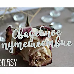 Украшение из чипборда "Свадебное путешествие" (Fantasy)