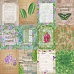 Бумага "Тропикана. Карточки" (EcoPaper) Бумага "Тропикана. Карточки" (EcoPaper)