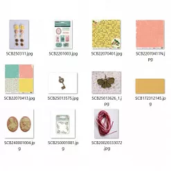 Набор для изготовления двух открыток и ярлычка "Яркий" (ScrapBerry's) Набор для изготовления двух открыток и ярлычка "Яркий" (ScrapBerry's)