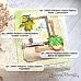 Нож "Рецепты старого буфета. Рамки с цветочками", 5,6х8 см (ScrapMania) Нож "Рецепты старого буфета. Рамки с цветочками", 5,6х8 см (ScrapMania)
