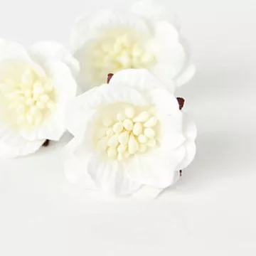 Цветок сенполии "Белый", 3 см, 1 шт (Craft) Цветок сенполии "Белый", 3 см, 1 шт (Craft)