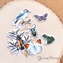 Набор высечек из бумаги "Заповедник", 43 шт (ScrapMania) Набор высечек из бумаги "Заповедник", 43 шт (ScrapMania)