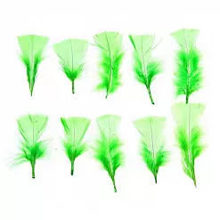 Набор перьев "Светло-зеленый"