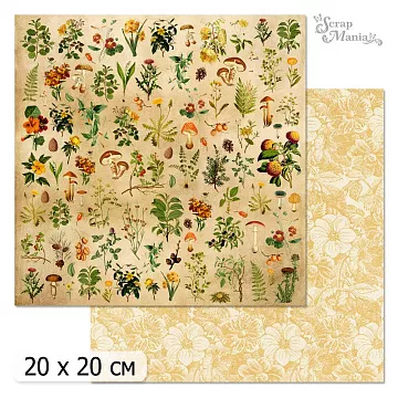 20х20 Бумага "Ворожея. Дизайн 6" (ScrapMania)