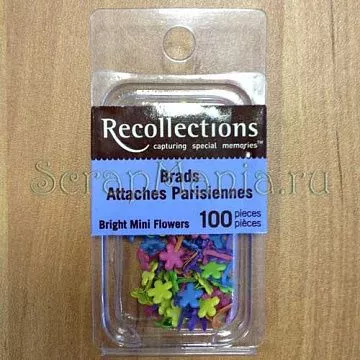 Набор мини-брадсов Recollections "Яркие цветочки"