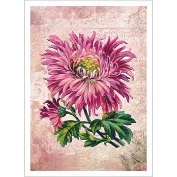 Тканевая карточка "Яркие впечатления. Загадка" (ScrapMania)