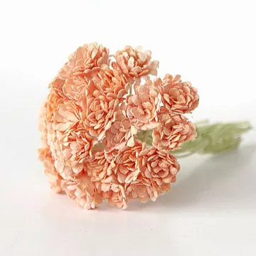 Букет гипсофил "Персиковые", 10 шт (Craft) Букет гипсофил "Персиковые", 10 шт (Craft)