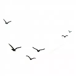 Штамп "Полет чаек" (Студия "Елена")