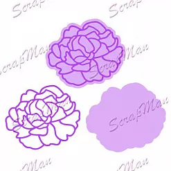 Набор ножей "Пион" (Scrapman)