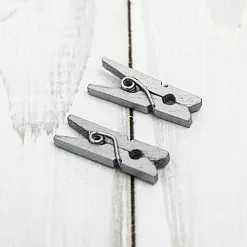 Набор деревянных прищепок "Серебряные"