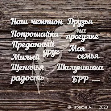 Чипборд "Наш чемпион" (ArtLines) Чипборд "Наш чемпион" (ArtLines)