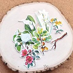 Набор высечек из бумаги "Заповедник 2", 40 шт (ScrapMania)