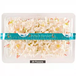 Цветы "Белые гардении" (Irene's Garden)