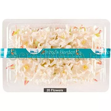 Цветы "Белые гардении" (Irene's Garden)