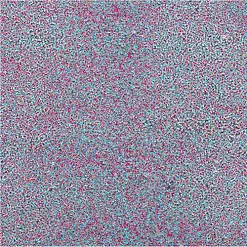 Пудра для эмбоссинга непрозрачная "Dragon Fruit. Драконий фрукт" (WOW)