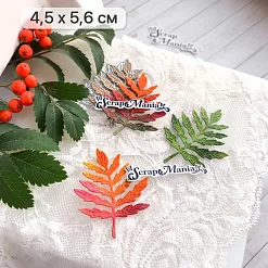 Нож "Листья леса. Валериана", 4,5х5,6 см (ScrapMania)