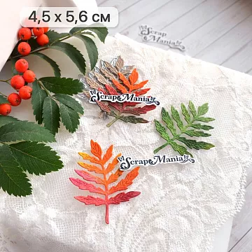 Нож "Листья леса. Валериана", 4,5х5,6 см (ScrapMania)