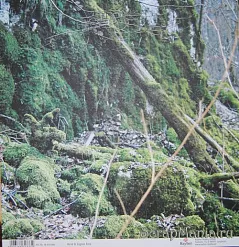 Бумага "В лесу" (Rayher)